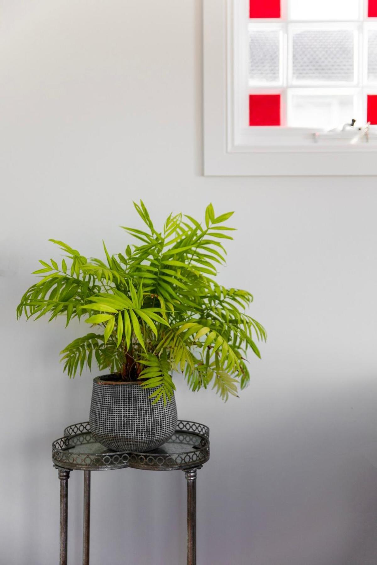 Seaside Apartment, 100m To Narrabeen